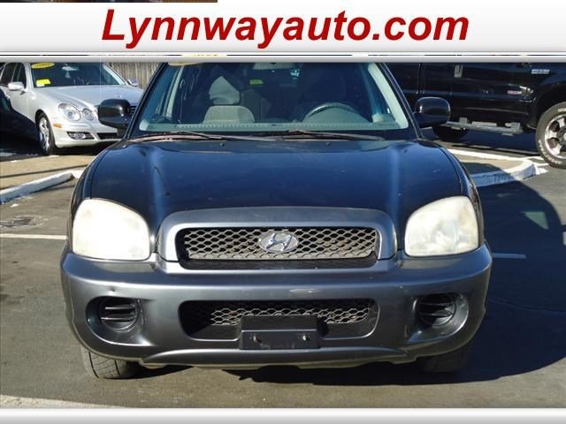 Hyundai Santa Fe 2004 photo 2