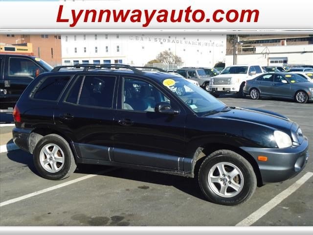 Hyundai Santa Fe 2004 photo 3