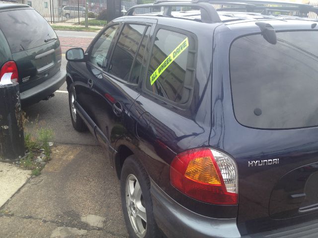 Hyundai Santa Fe 2004 photo 3