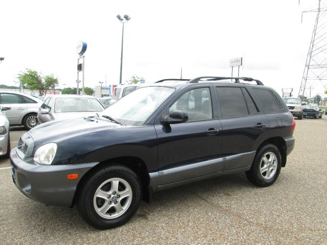 Hyundai Santa Fe 2004 photo 10