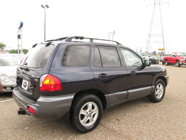 Hyundai Santa Fe 2004 photo 16