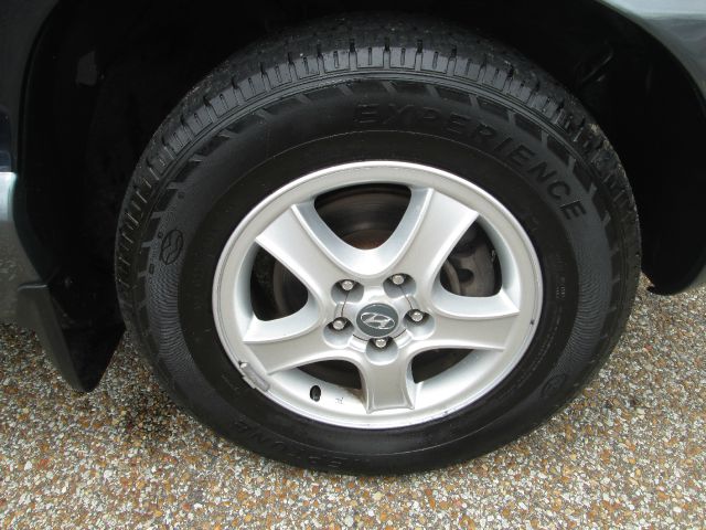 Hyundai Santa Fe 2004 photo 4