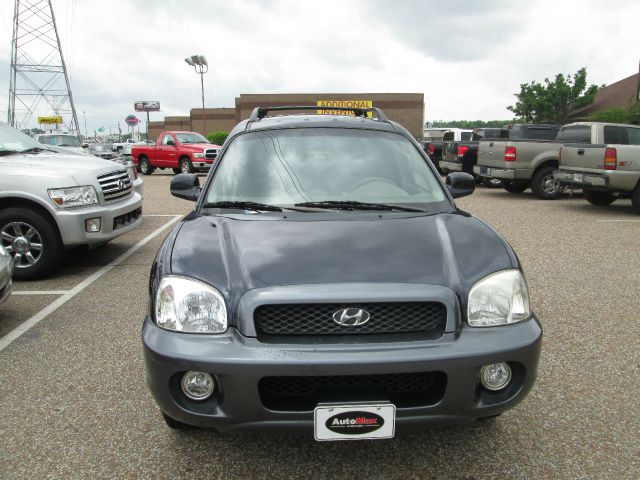 Hyundai Santa Fe 2004 photo 7