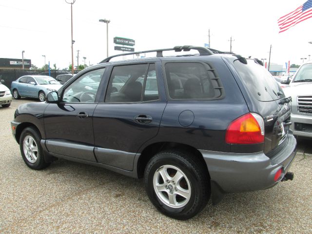 Hyundai Santa Fe 2004 photo 8