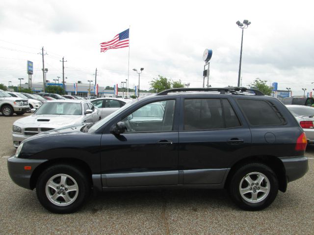 Hyundai Santa Fe 2004 photo 9