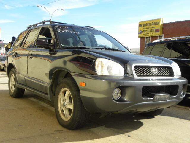 Hyundai Santa Fe 2004 photo 1