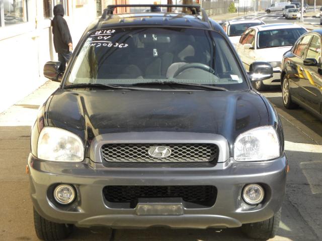 Hyundai Santa Fe 2004 photo 2