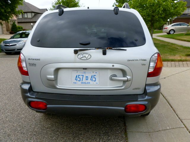 Hyundai Santa Fe 2004 photo 1