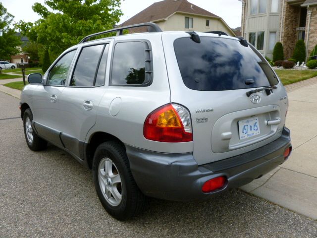 Hyundai Santa Fe 2004 photo 12