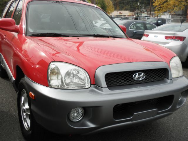 Hyundai Santa Fe 2004 photo 2