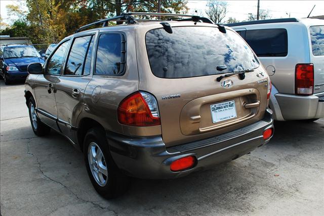 Hyundai Santa Fe 2004 photo 3