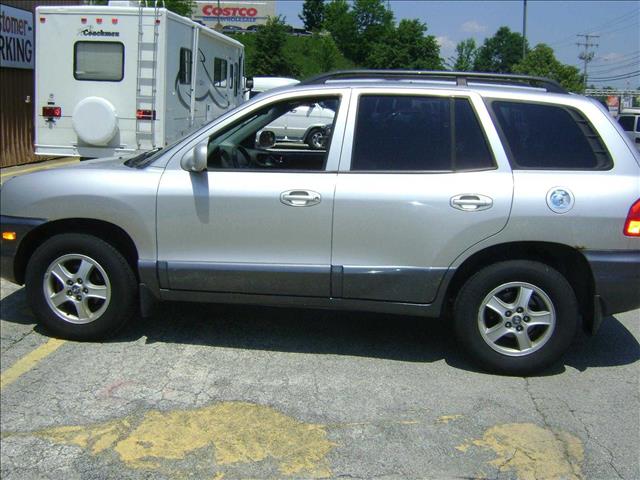 Hyundai Santa Fe 2004 photo 5