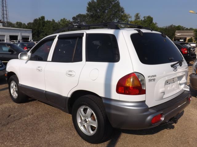 Hyundai Santa Fe 2004 photo 3