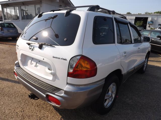 Hyundai Santa Fe 2004 photo 4