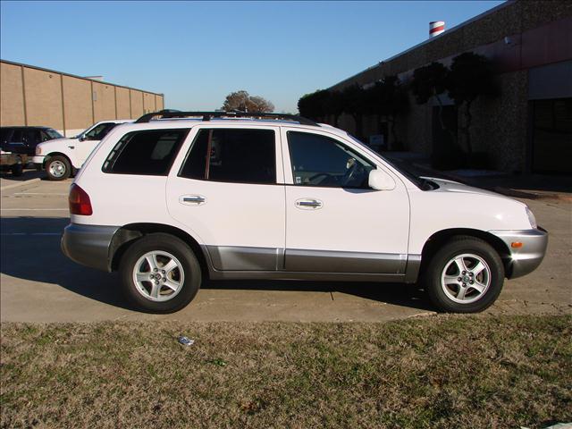 Hyundai Santa Fe 2004 photo 3