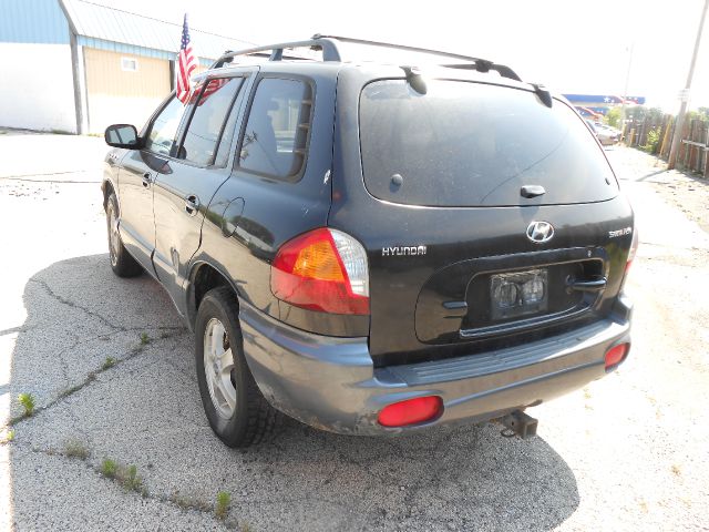 Hyundai Santa Fe 2004 photo 3