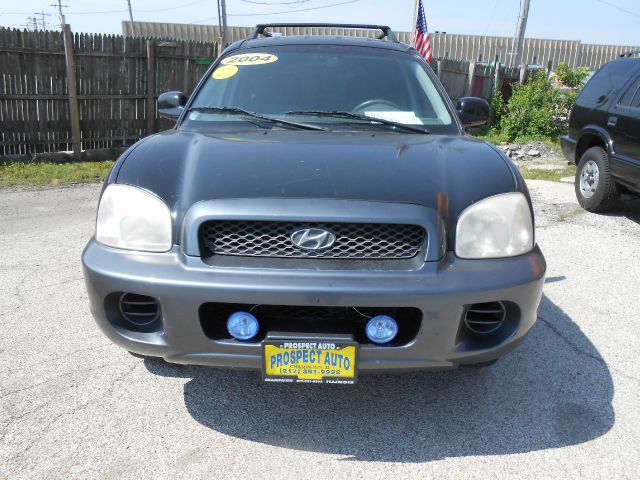 Hyundai Santa Fe 2004 photo 4