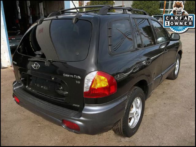 Hyundai Santa Fe 2004 photo 1