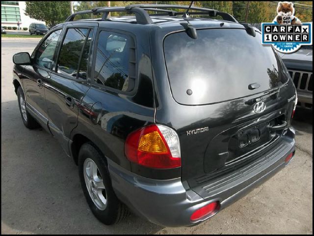 Hyundai Santa Fe 2004 photo 2