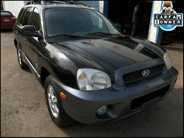 Hyundai Santa Fe 2004 photo 3