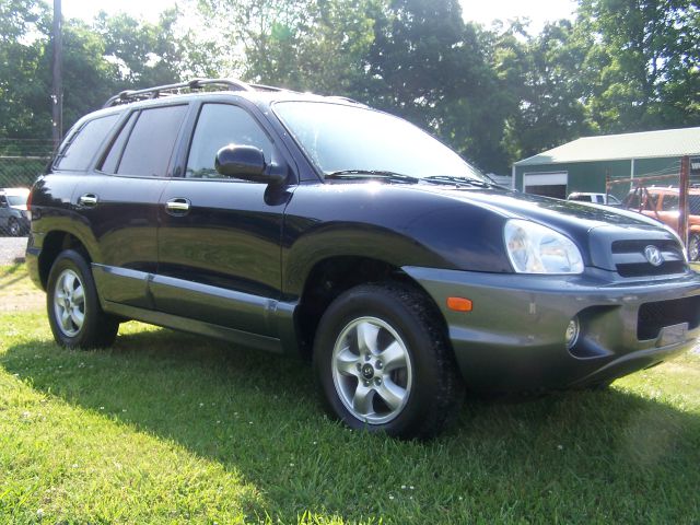 Hyundai Santa Fe 2005 photo 2