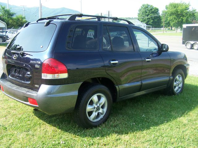 Hyundai Santa Fe 2005 photo 5