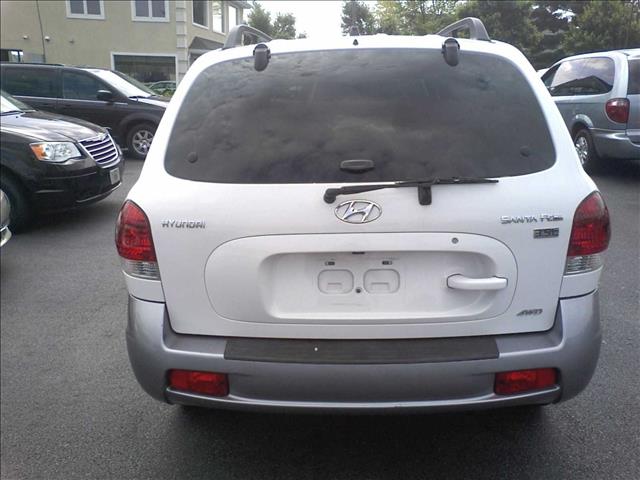 Hyundai Santa Fe 2005 photo 3