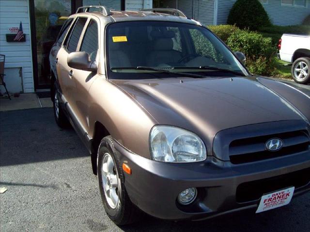 Hyundai Santa Fe 2005 photo 3