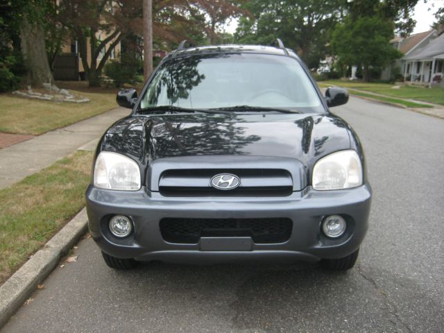 Hyundai Santa Fe 2005 photo 2