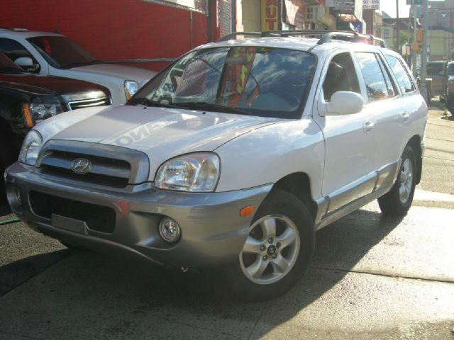 Hyundai Santa Fe 2005 photo 2