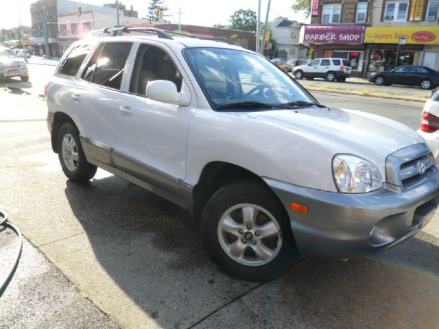 Hyundai Santa Fe 2005 photo 3