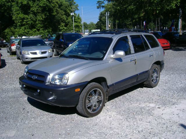 Hyundai Santa Fe 2005 photo 3