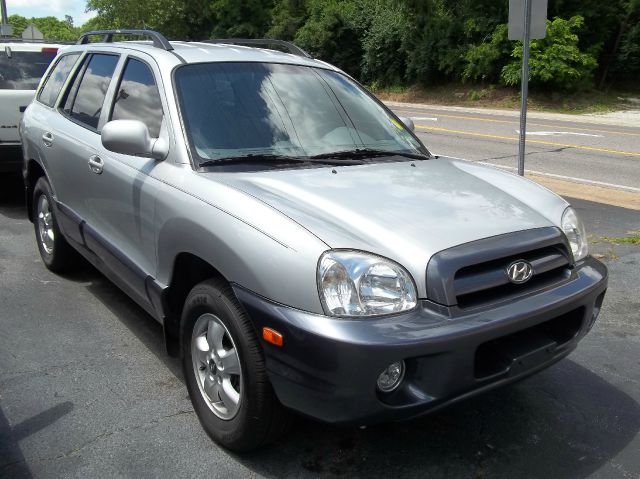 Hyundai Santa Fe 2005 photo 9