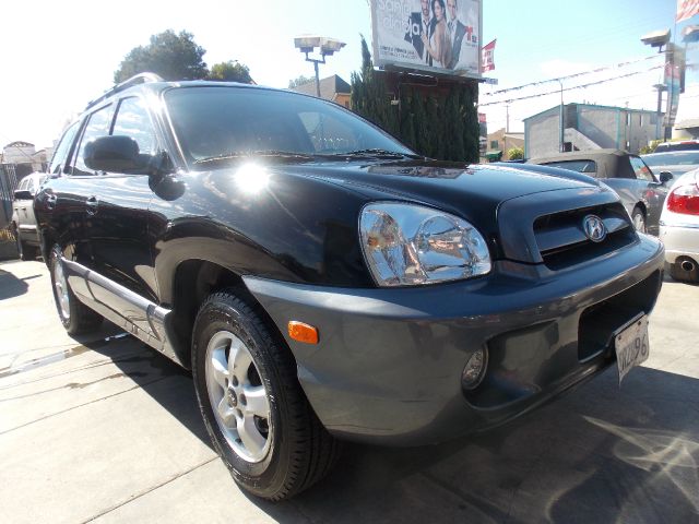 Hyundai Santa Fe 2005 photo 3