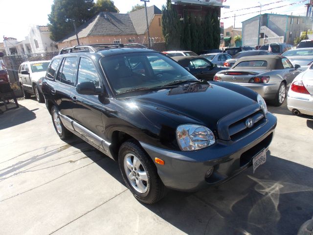 Hyundai Santa Fe 2005 photo 4