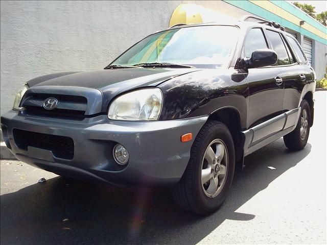 Hyundai Santa Fe 2005 photo 1