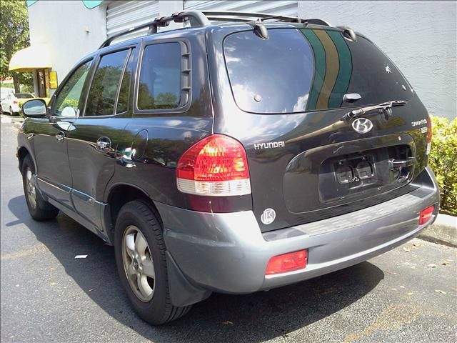 Hyundai Santa Fe 2005 photo 2