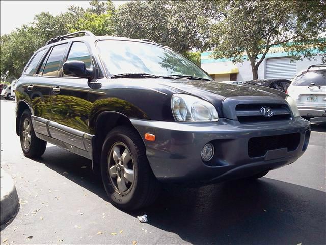 Hyundai Santa Fe 2005 photo 4