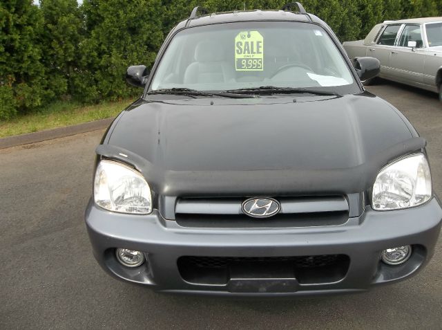 Hyundai Santa Fe 2005 photo 10