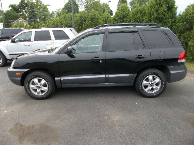 Hyundai Santa Fe 2005 photo 9