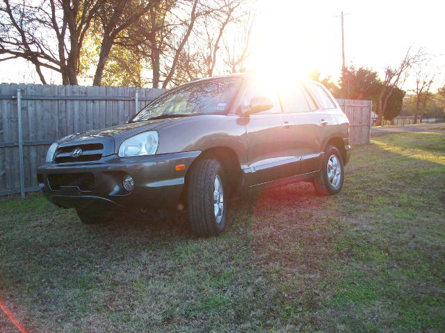 Hyundai Santa Fe 2005 photo 1