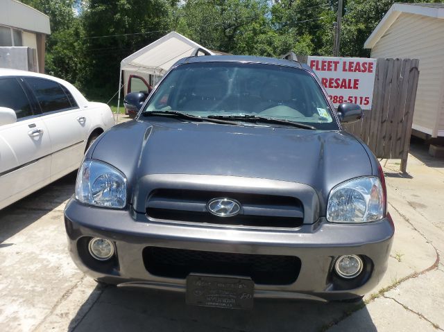 Hyundai Santa Fe 2005 photo 1