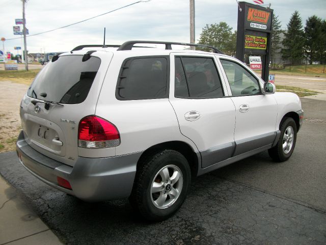 Hyundai Santa Fe 2005 photo 4