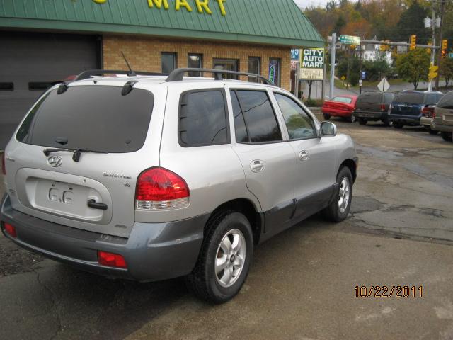 Hyundai Santa Fe 2005 photo 3