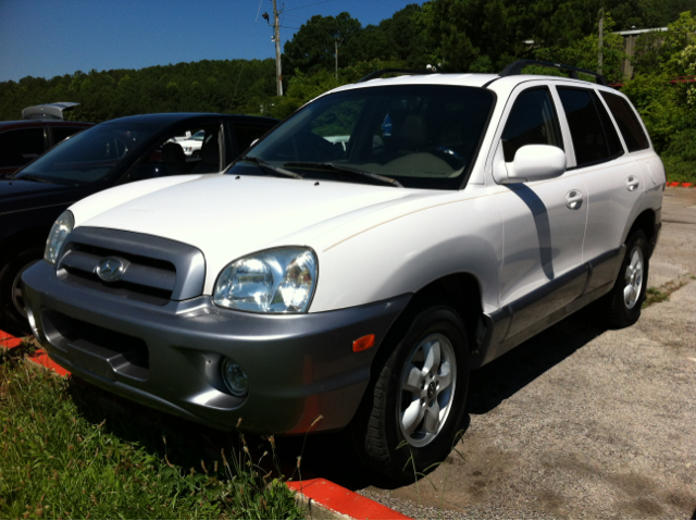 Hyundai Santa Fe 2005 photo 4