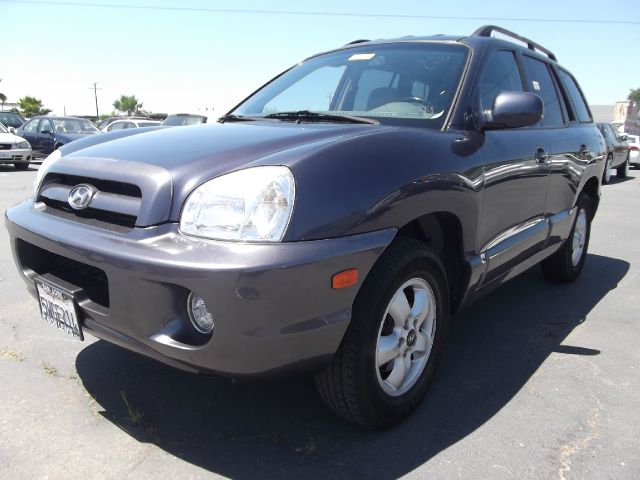 Hyundai Santa Fe 2005 photo 10