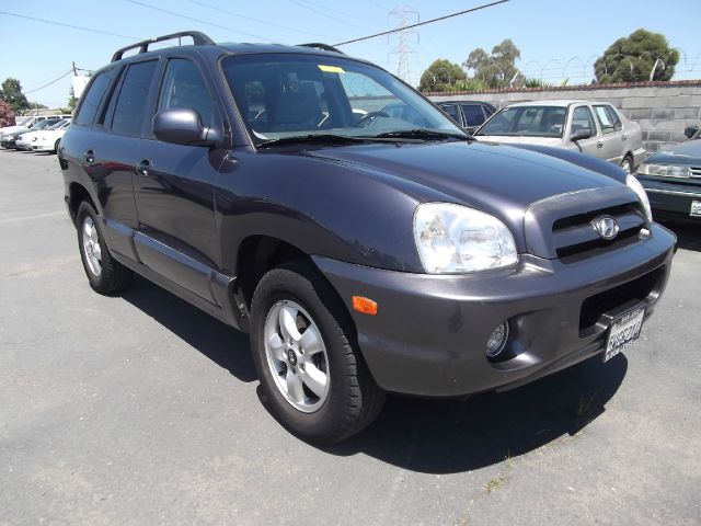 Hyundai Santa Fe 2005 photo 14