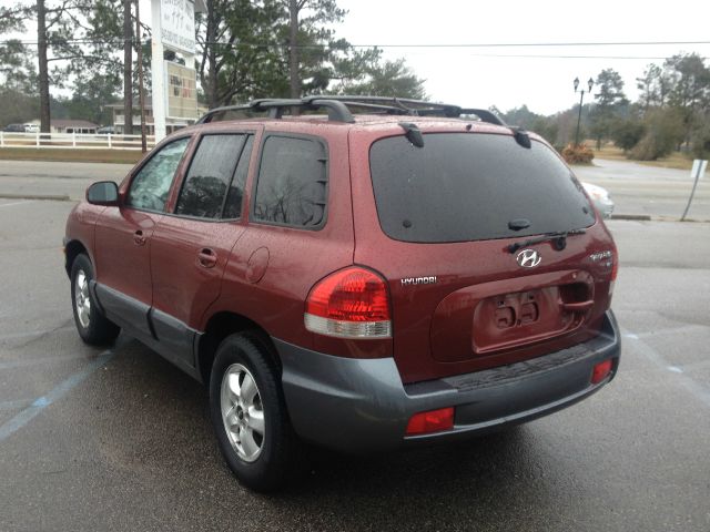 Hyundai Santa Fe 2005 photo 3