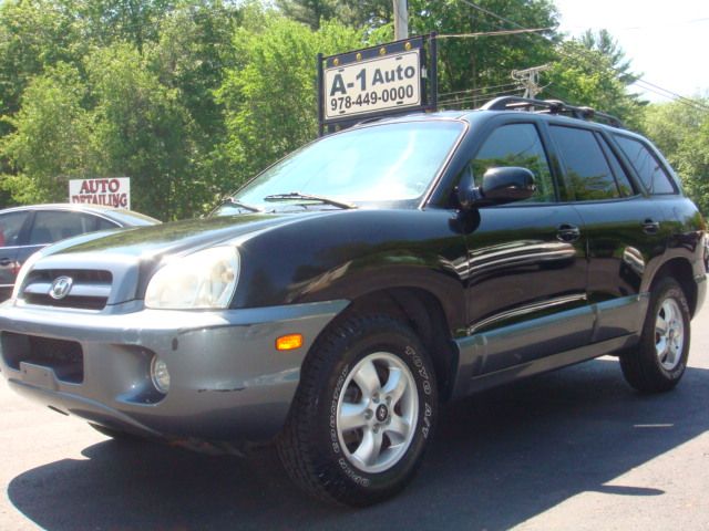 Hyundai Santa Fe Reg Cab 135 WB SUV