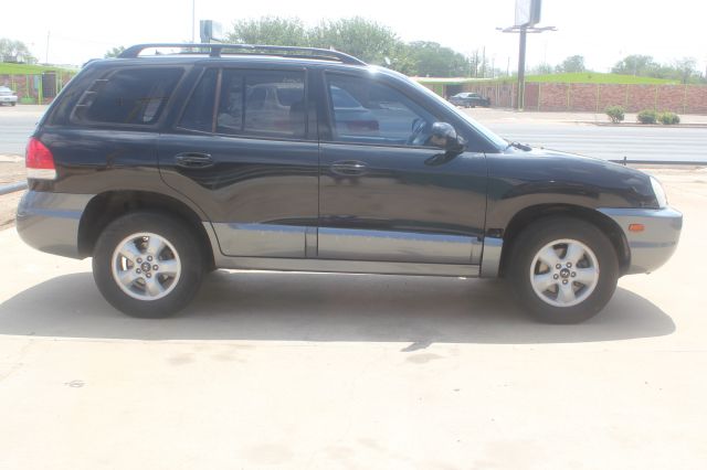 Hyundai Santa Fe 2005 photo 12